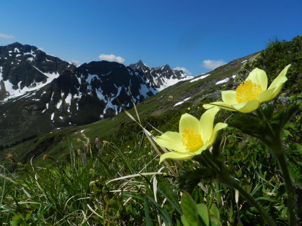 Alpasella Ferienwohnungen St. Gallenkirch Zewnętrze zdjęcie